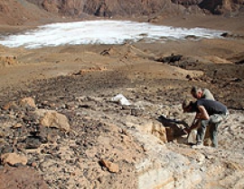 The paradox of the Tibesti crater palaeolakes (Sahara, Northwest Chad)