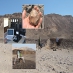 On the trail of Late Pleistocene surfaces (Eastern Desert, Egypt)