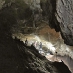 Excavations in the Cueva Ardales come to a close