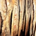Speleothems – further terrestrial records of climate variability in the Western Mediterranean
