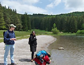 Vegetation mapping and sampling of moss polsters and soils in the Mohoş region, Romania