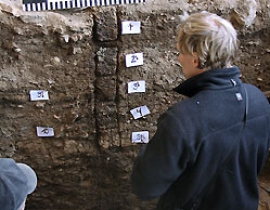 Micromorphology proves the penning of domesticated sheep and goat in Moroccan Early Neolithic deposits during the middle of the 8th millennium calBP