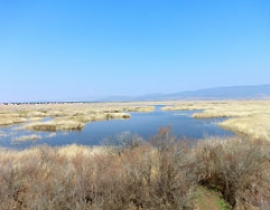 Excursion to Tablas de Daimiel National Park in March 2014 (Ciudad Real, Central Spain) with our new collaboration partners in C3