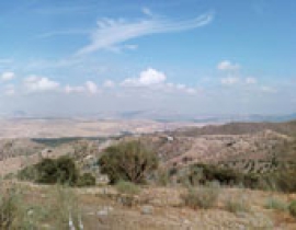 Speleothems – further terrestrial records of climate variability in the Western Mediterranean