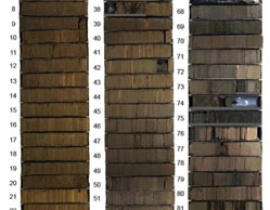 Black carbon in maar lake sediments from the Eifel