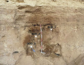 Micromorphology at Sodmein Cave – looking at the lowest level of site formation processes