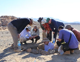 Playas, palaeosoils and speleothems: Dating Pleistocene archives with geo-archaeological methods