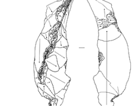 A technological analysis of recently excavated archaeological assemblages of the open-air localities of the Banat (SW-Romania)