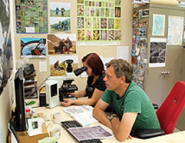 Discovery of a new centric diatom species from Lake Kinneret/Israel