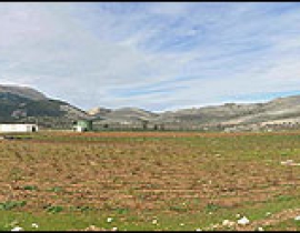 Corings in the Zafarraya Polje (Andalucia, Southern Spain)