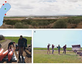Laguna de Fuente de Piedra – Sediment cores from a perennial salt lake in southern Spain for palaeoenvironmental reconstruction