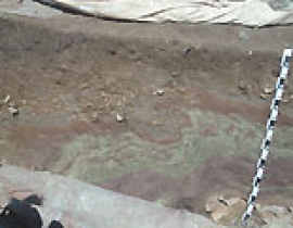 My dear Paleosol