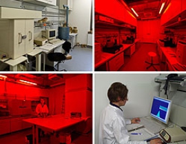 Moved into new laboratories