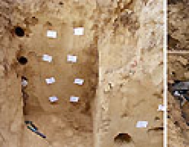 Investigations on the potential of BeO dosimeters for in-situ dose rate estimation