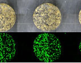 Improving dose rate determinations for rock surface luminescence dating: measuring potassium content within gneissic rocks with μ-XRF